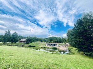 konferenciju-sales-1-1