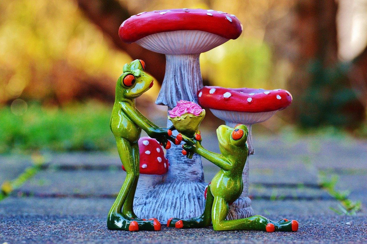 frog, heart, marriage proposal, lucky guy, few, love, figure, cute, fun, nature, valentine's day, animal, pose, frogs, deco, in love, hearts, decorative items, decorative